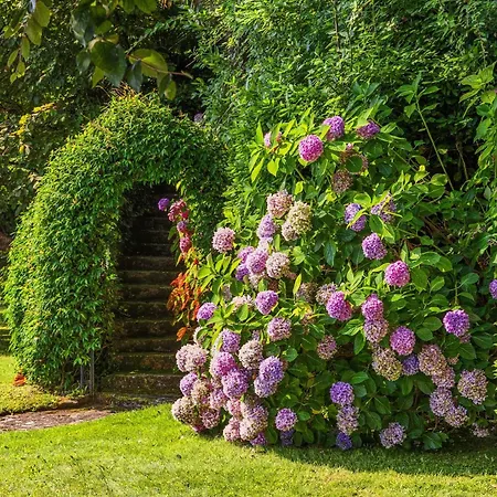 Holiday home Angela Maria - By Lovecomo